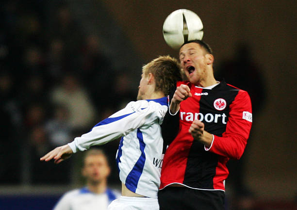 篮与浙江稠 篮与浙江稠